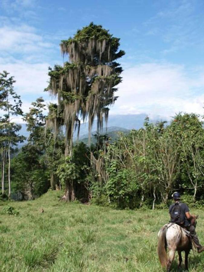 Hotel Hacienda Monteclaro Turrialba Exterior foto